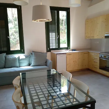 Apartament Felip *